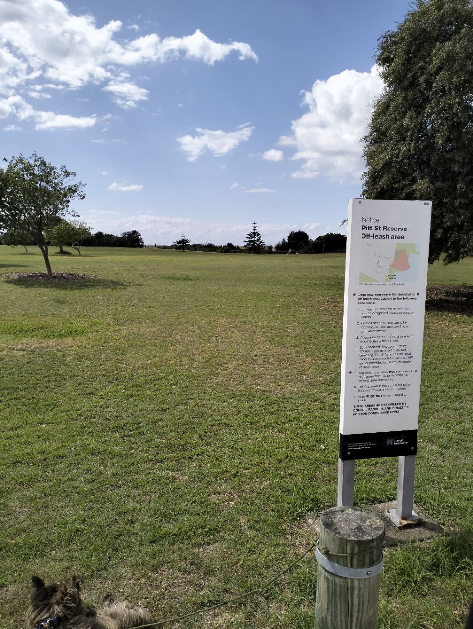 Image of Stockton Off-Leash Dog Area park in Newcastle, New South Wales, Australia Image of Stockton Off-Leash Dog Area park in newcastle, new-south-wales, australia