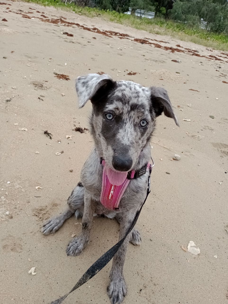 Image of Esa Park park in hervey-bay, queensland, australia