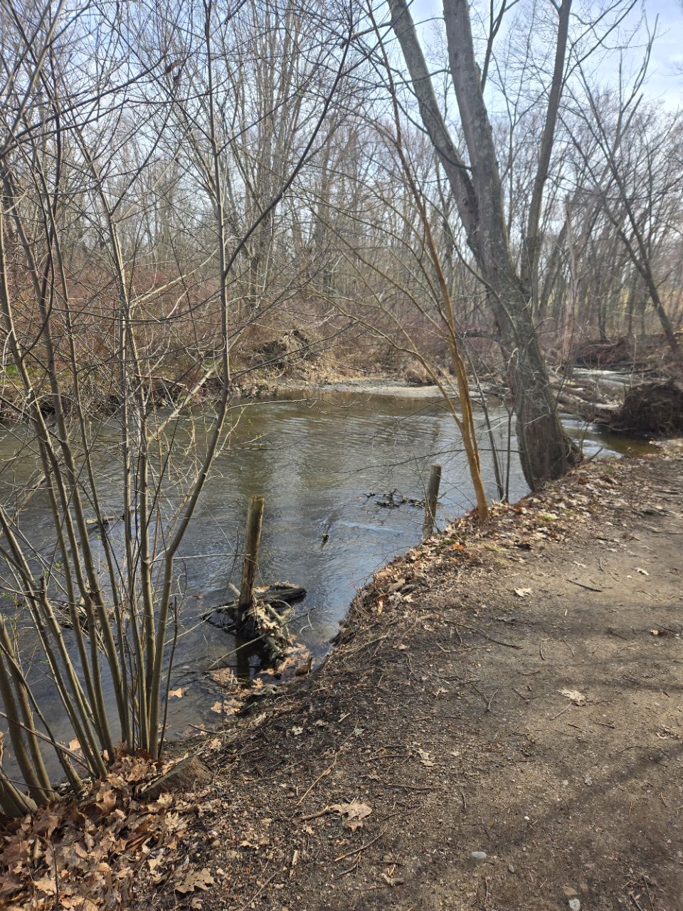 Image of Firestone Park park in Akron, Ohio, United States Image of Firestone Park park in akron, ohio, united-states