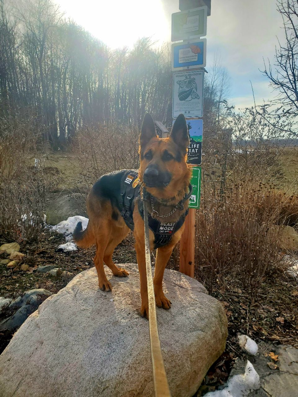 Image of Diamond Walking Trail park in sandusky, ohio, united-states