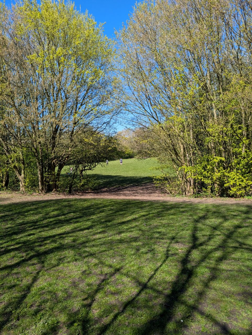 Image of Spring Bank West Eco Park park in Kingston upon Hull, England, United Kingdom Image of Spring Bank West Eco Park park in kingston-upon-hull, england, united-kingdom