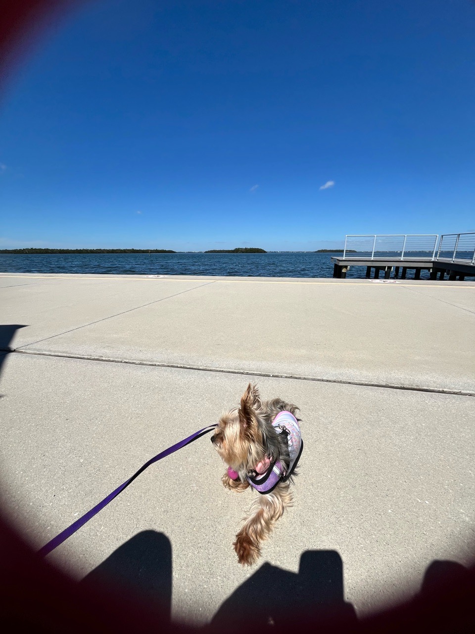 Image of Public Beach Access (Park at Bayfront Park) park in Longboat Key, Florida, United States Image of Public Beach Access (Park at Bayfront Park) park in longboat-key, florida, united-states