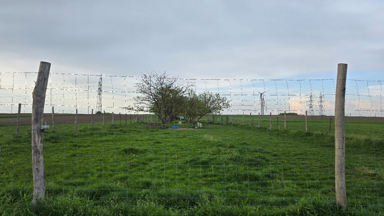 Hundezone Muckendorf - Wipfing