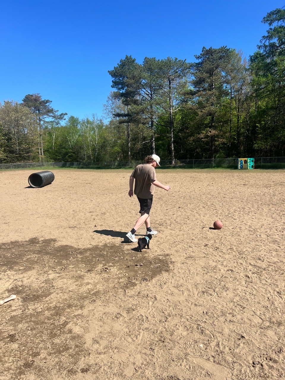 Image of Essex Dog Park VT park in Essex Junction, Vermont, United States Image of Essex Dog Park VT park in essex-junction, vermont, united-states