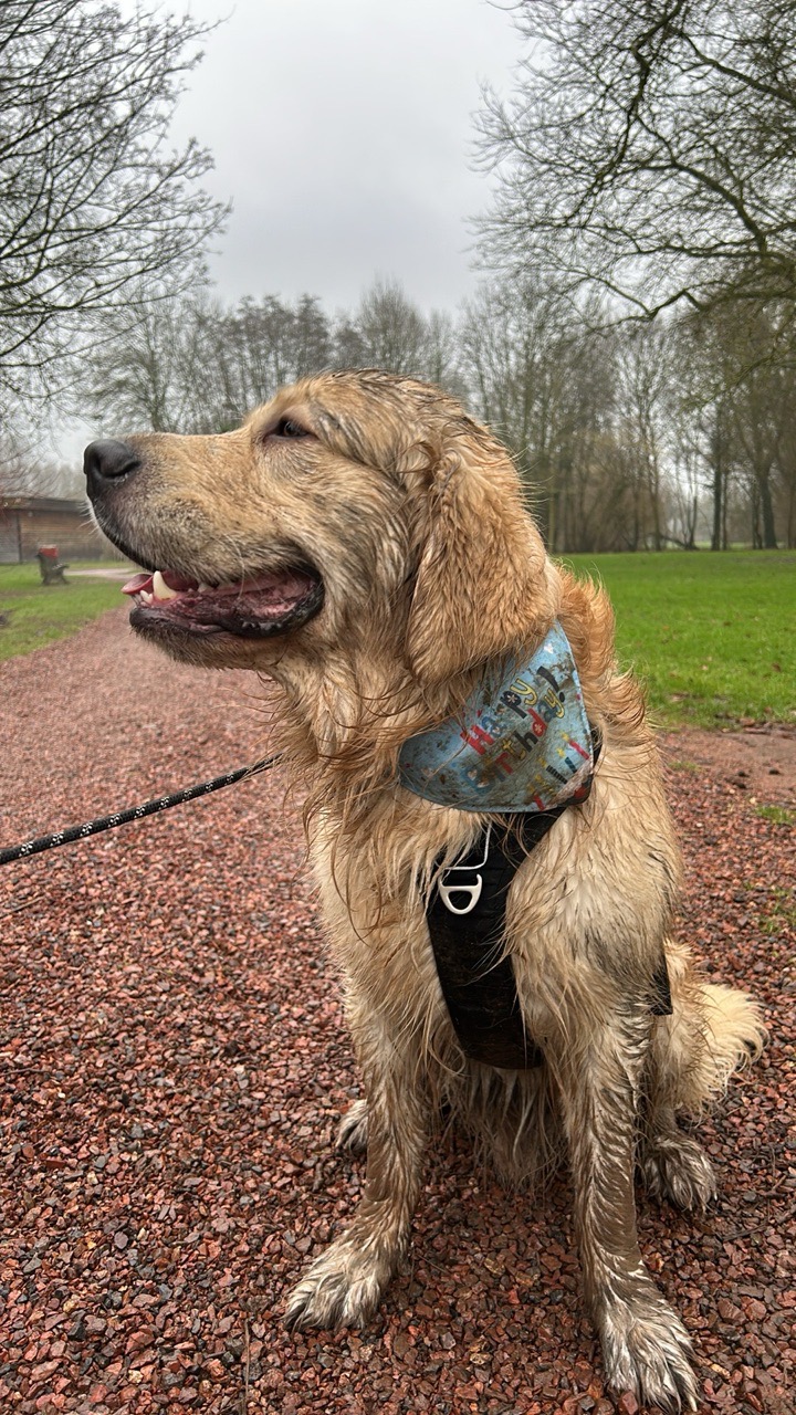 Image of Parc de Jemappes park in Mons, Hainaut, Belgium Image of Parc de Jemappes park in mons, hainaut, belgium