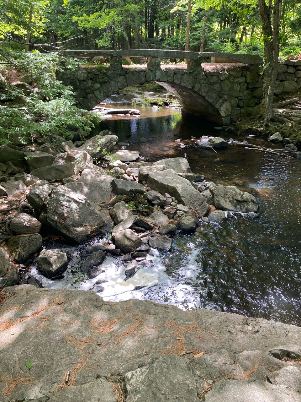 Image of Vaughan Woods park in Hallowell, Maine, United States Image of Vaughan Woods park in hallowell, maine, united-states