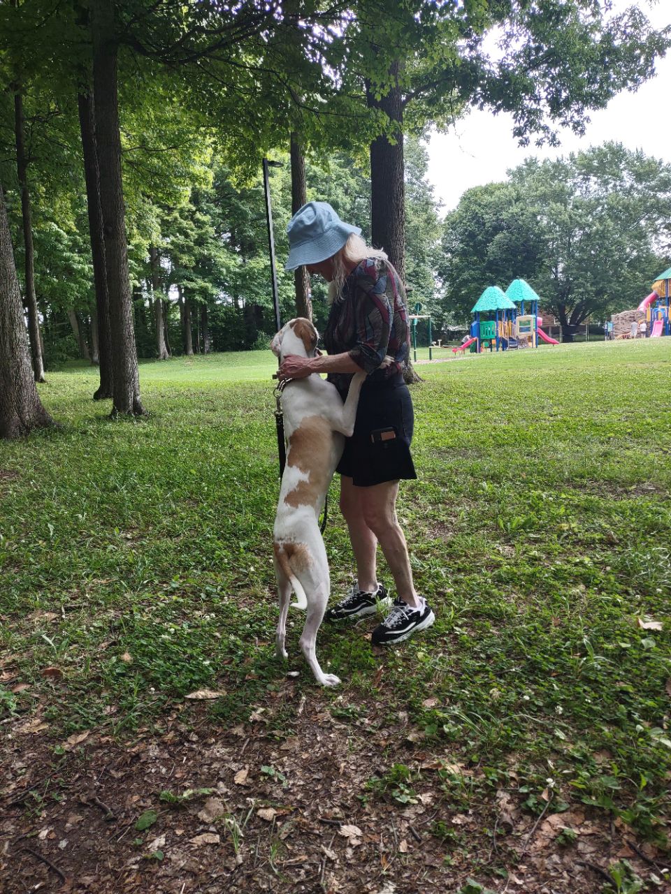 Image of Camillus Park park in Town of Camillus, New York, United States Image of Camillus Park park in town-of-camillus, new-york, united-states