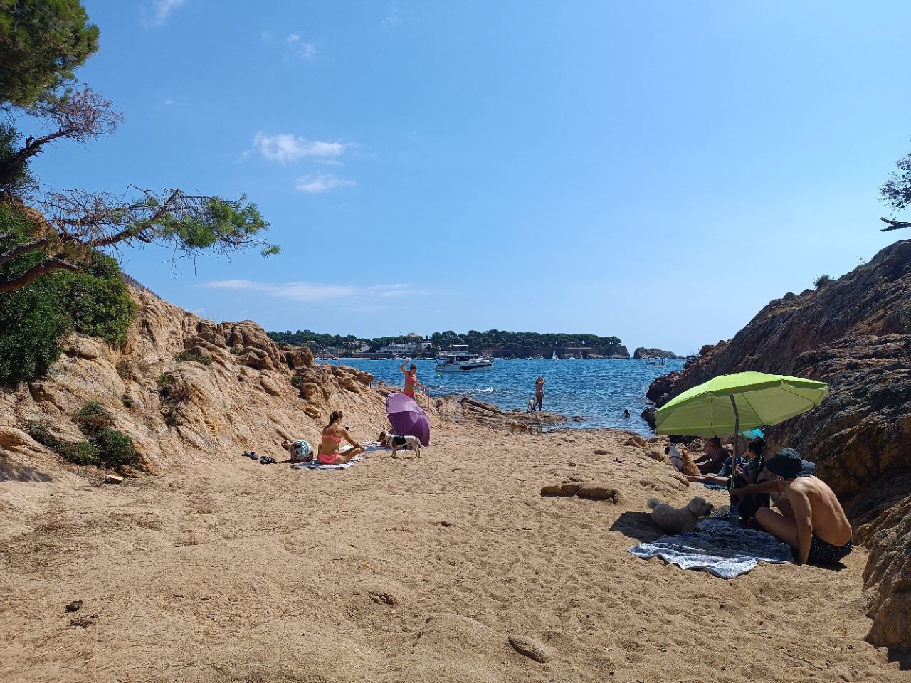 Image of Playa para perros Cala del Niu park in Sant Feliu de Guixols, Girona, Spain Image of Playa para perros Cala del Niu park in sant-feliu-de-guixols, girona, spain