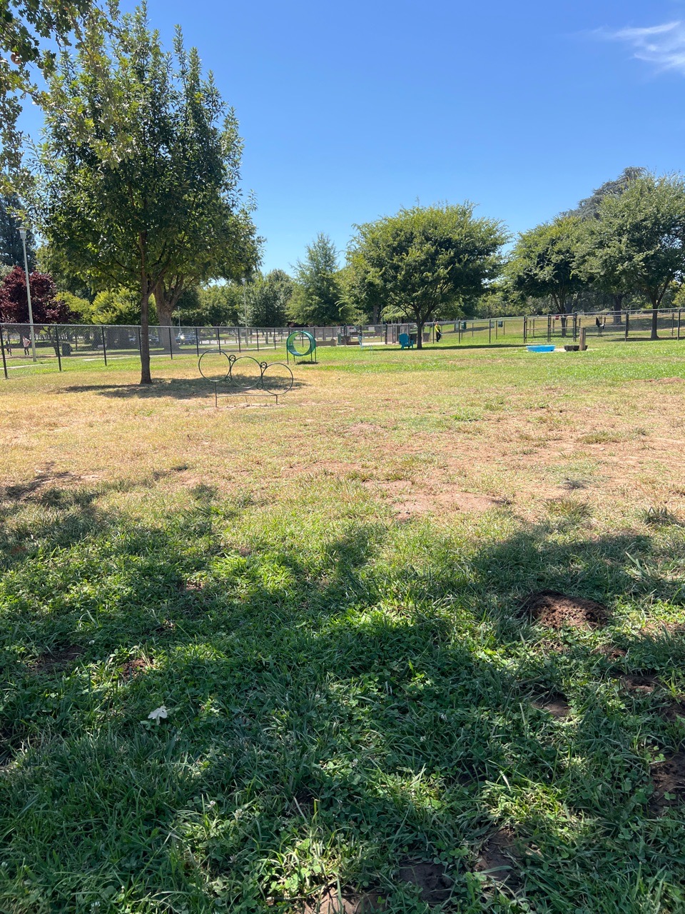 Image of Hagan Community Dog Park park in Rancho Cordova, California, United States Image of Hagan Community Dog Park park in rancho-cordova, california, united-states