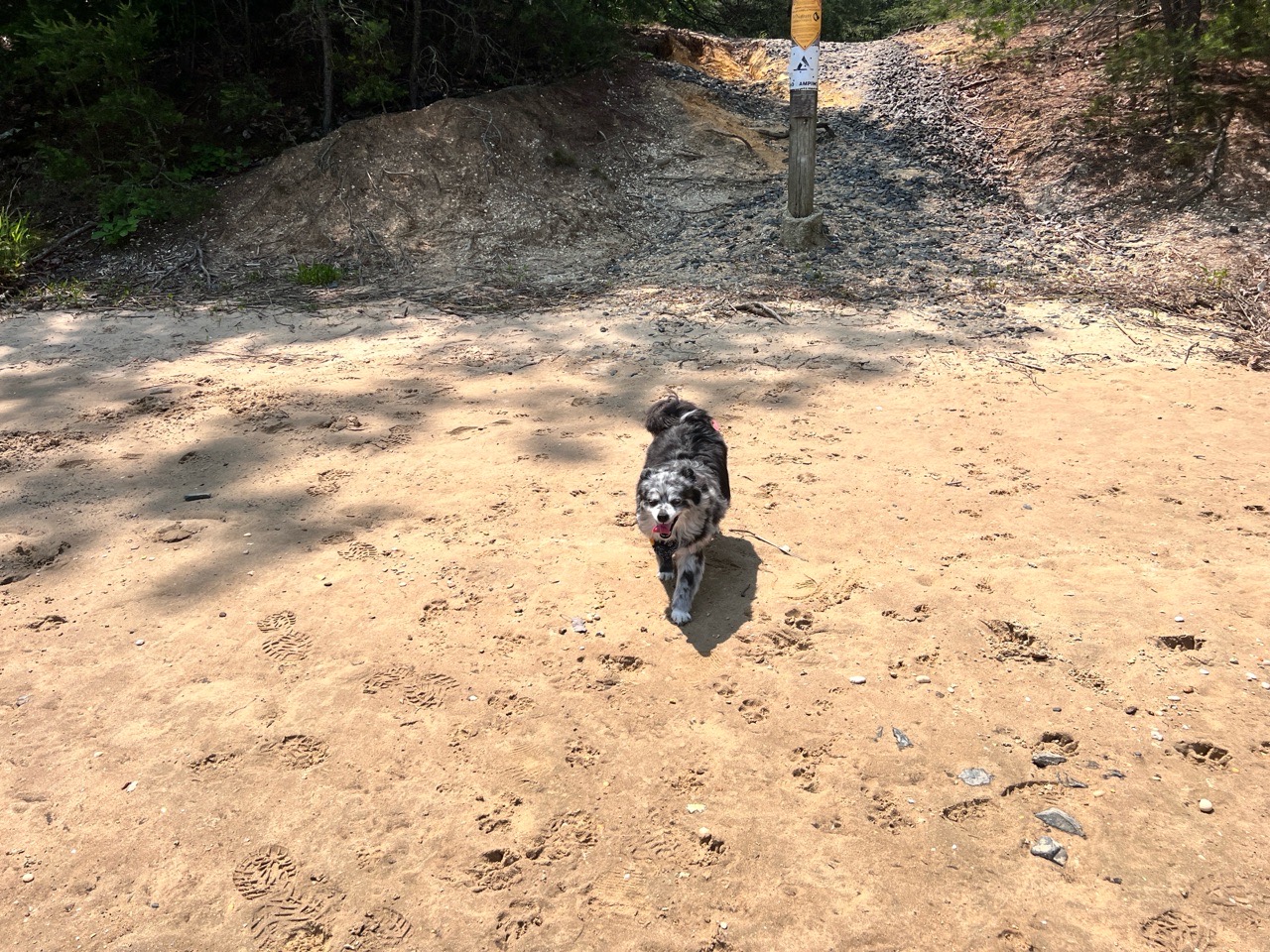 Image of Maurice River Bluffs Preserve park in Millville, New Jersey, United States Image of Maurice River Bluffs Preserve park in millville, new-jersey, united-states