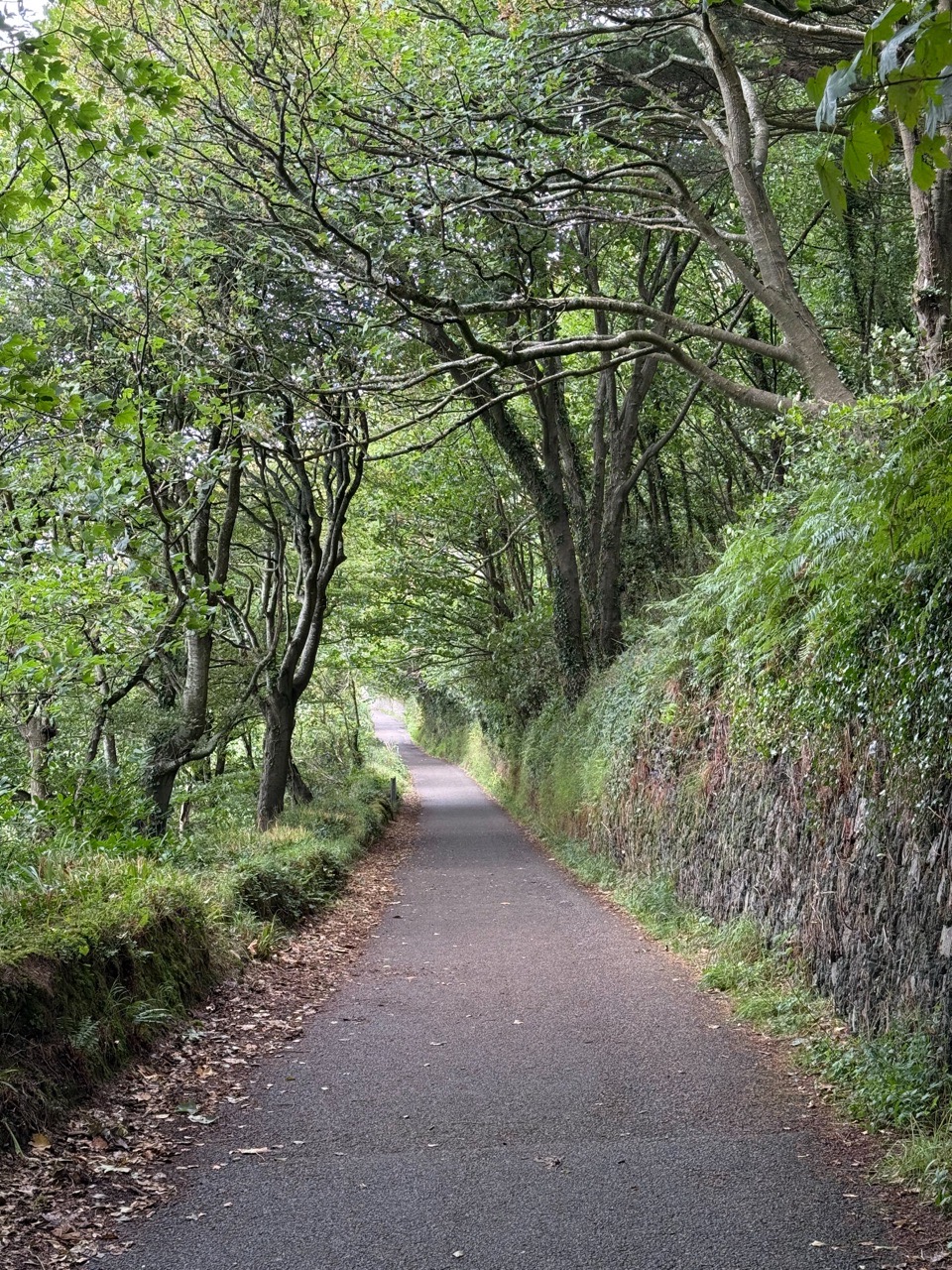 Image of Scilly Walking Tour park in Scilly Walk, County Cork, Ireland Image of Scilly Walking Tour park in scilly-walk, county-cork, ireland