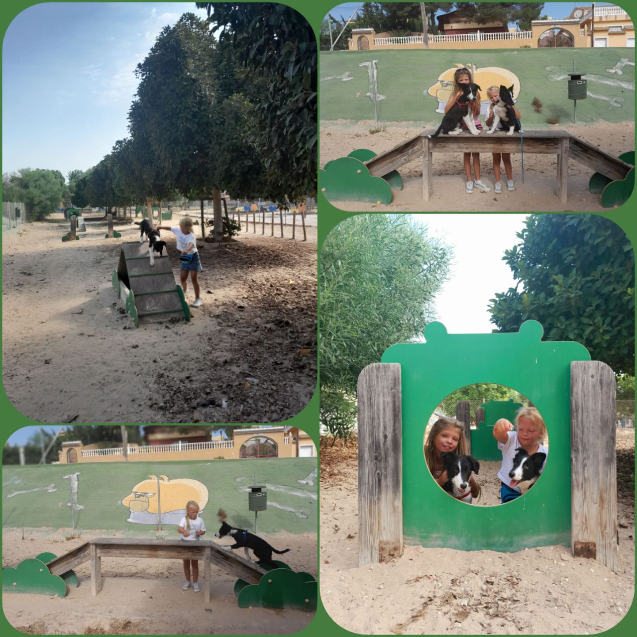 Image of The Parkcourt for Dogs park in Balcones, Los, Valencian Community, Spain Image of The Parkcourt for Dogs park in balcones-los, valencian-community, spain