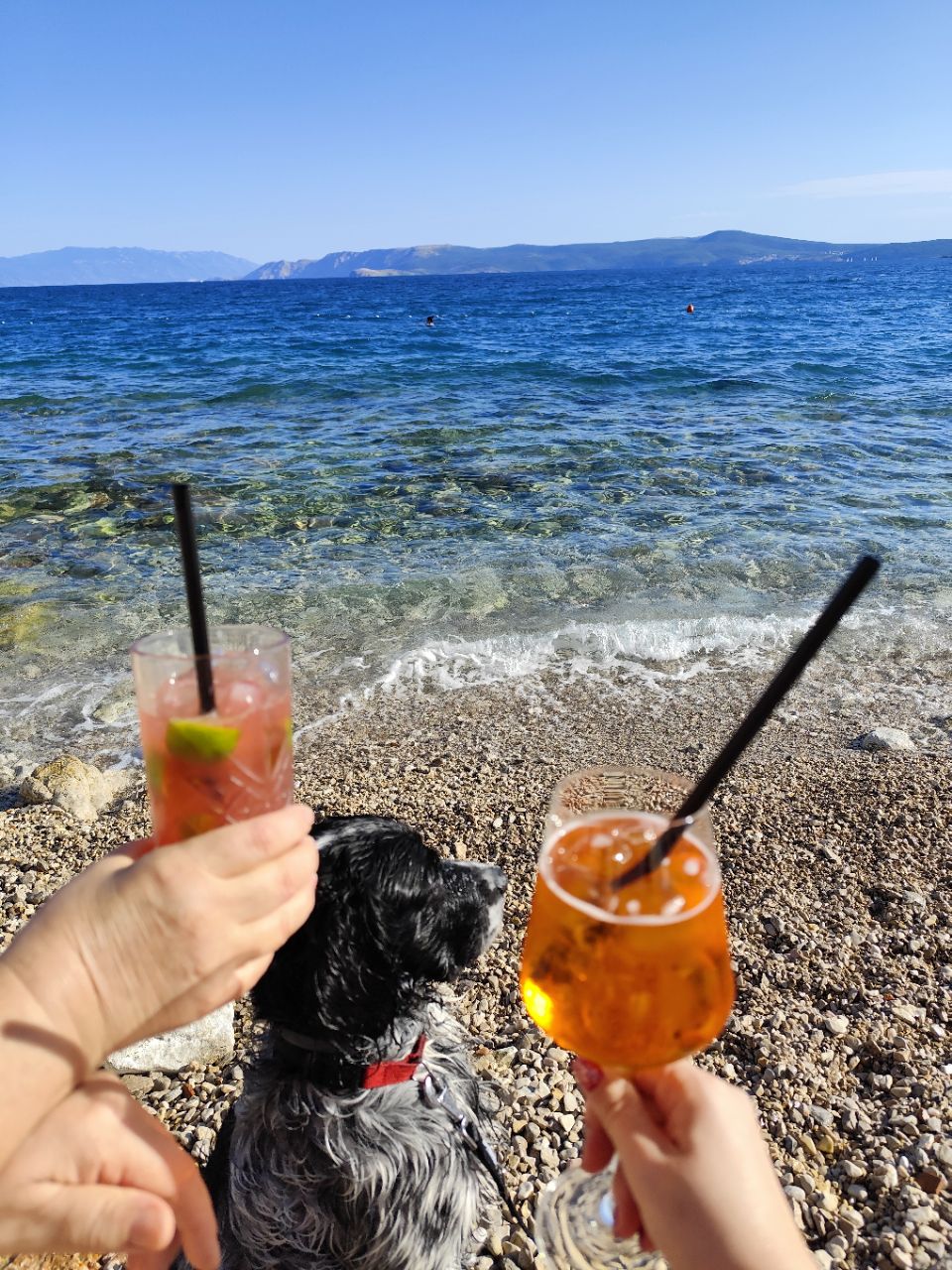 Image of Crikvenica Dog Beach park in Crikvenica, Primorje-Gorski Kotar County, Croatia Image of Crikvenica Dog Beach park in crikvenica, primorje-gorski-kotar-county, croatia