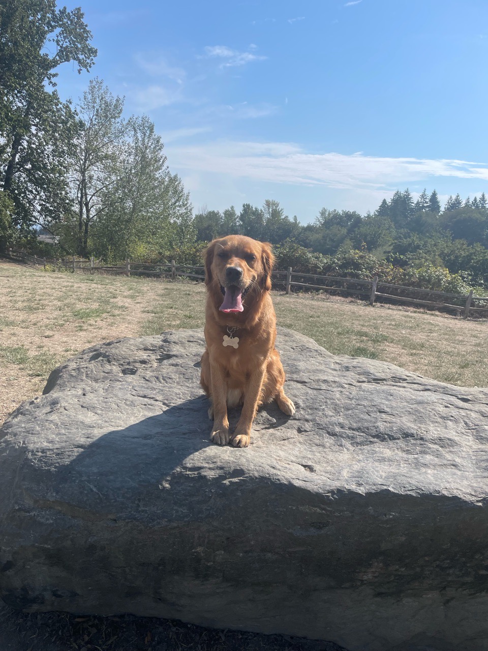 Image of Grandview Off-Leash Dog Park park in seatac, washington, united-states