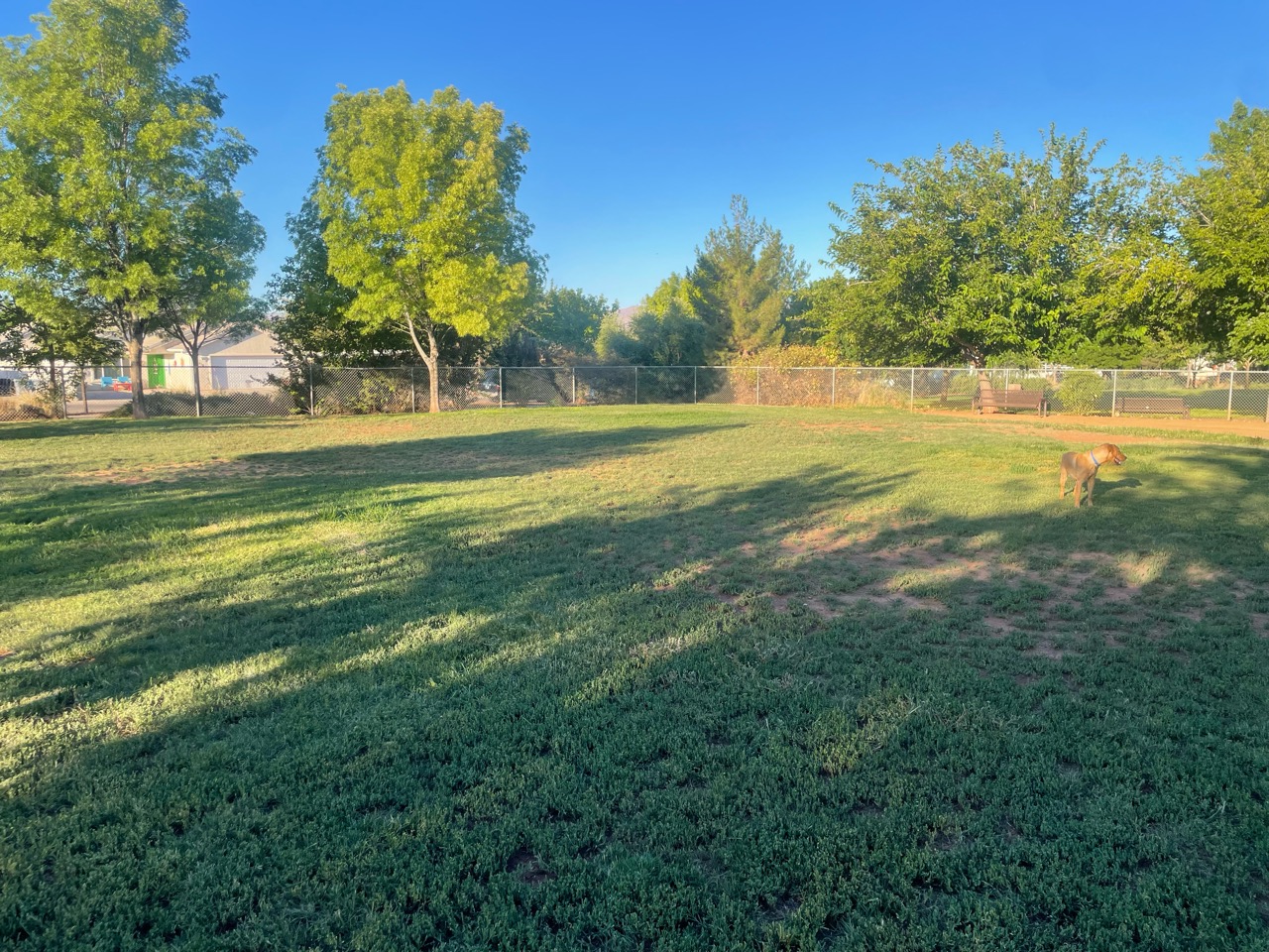 Image of Firehouse Dog Park park in Saint George, Utah, United States Image of Firehouse Dog Park park in saint-george, utah, united-states