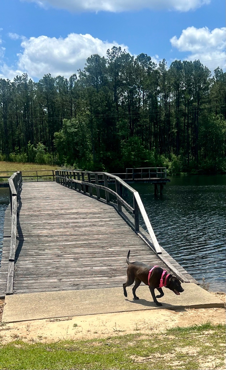 Image of Columbia Water Park park in Columbia, Maryland, United States Image of Columbia Water Park park in columbia, maryland, united-states