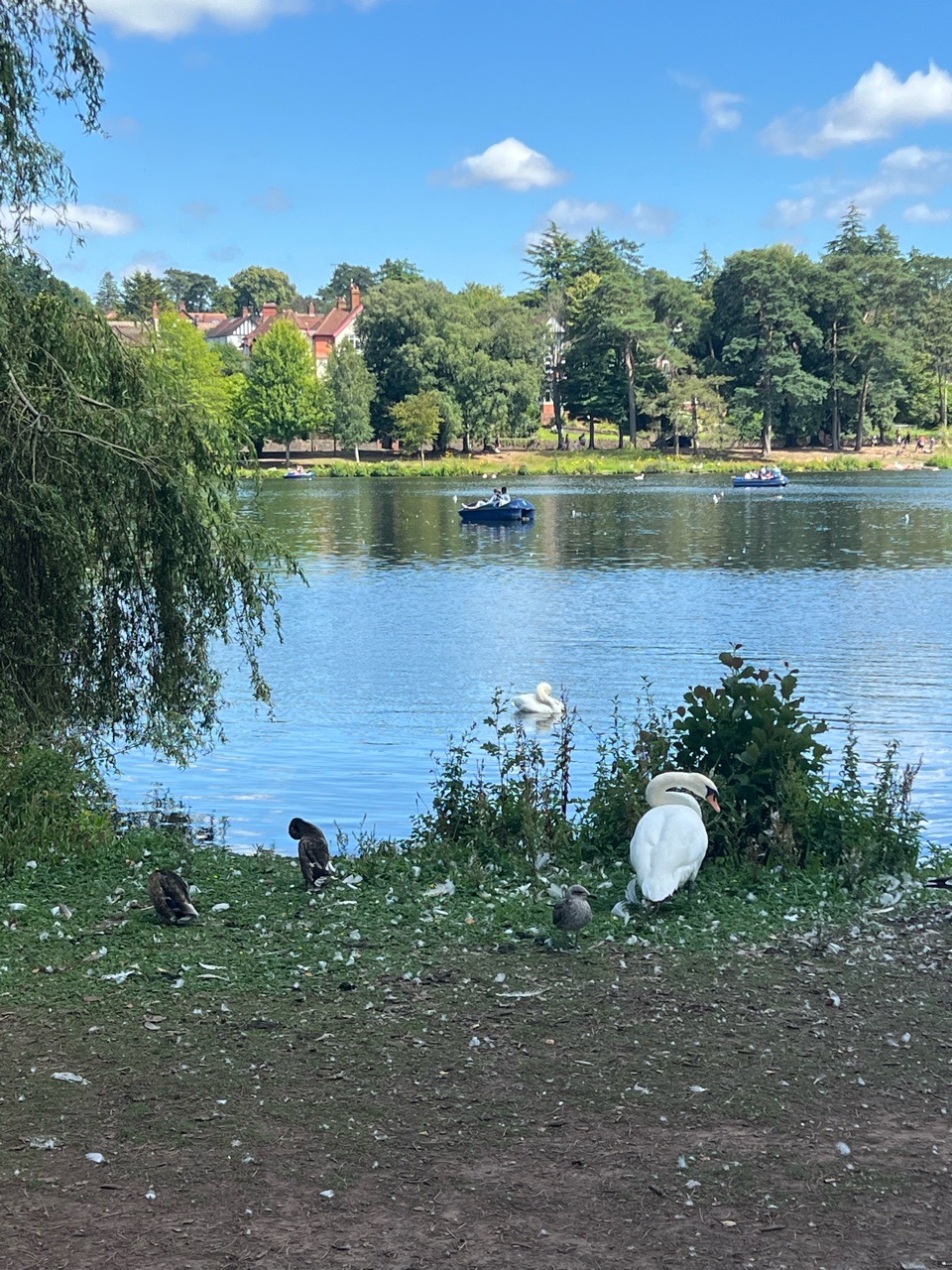 Image of Roath Park park in Cardiff, Wales, United Kingdom Image of Roath Park park in cardiff, wales, united-kingdom