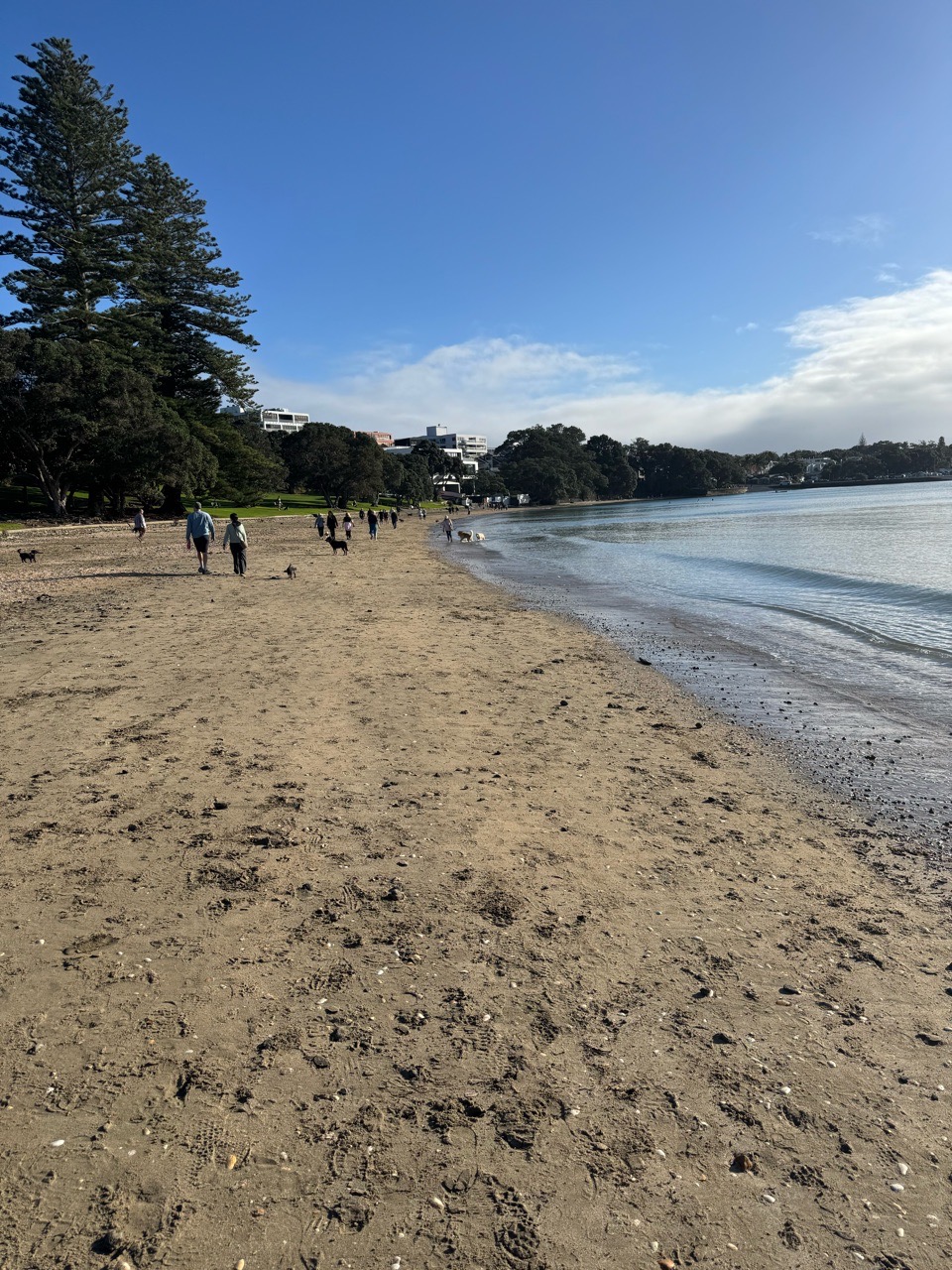 Image of Takapuna Beach park in Devonport-Takapuna, Auckland, New Zealand Image of Takapuna Beach park in devonport-takapuna, auckland, new-zealand