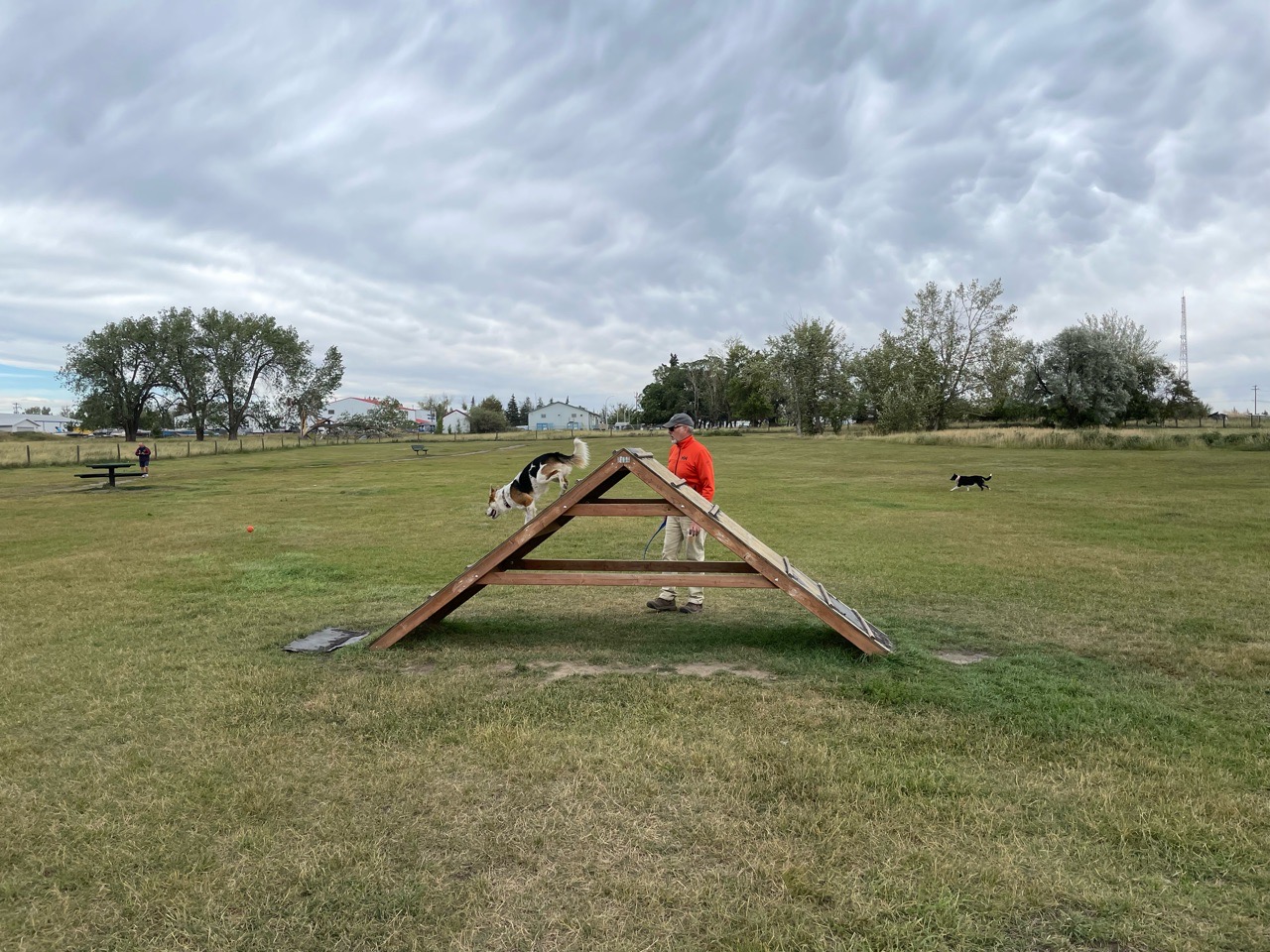 Image of Town Of Strathmore Dog Park park in Strathmore, Alberta, Canada Image of Town Of Strathmore Dog Park park in strathmore, alberta, canada