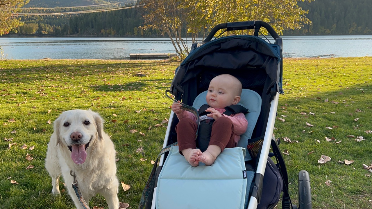 Image of Balto Dog Trail park in dover, delaware, united-states