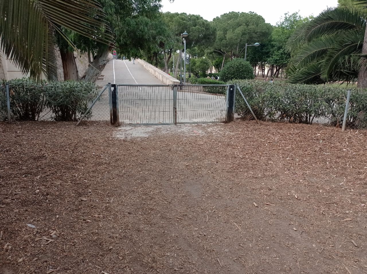 Image of PipiCan de las Flores park in Valencia, Valencia, Spain Image of PipiCan de las Flores park in valencia, valencia, spain