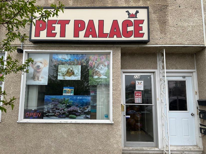 Image of GP's Pet Palace service in Portage la Prairie, Manitoba, Canada Image of GP's Pet Palace service in Portage la Prairie, Manitoba, Canada