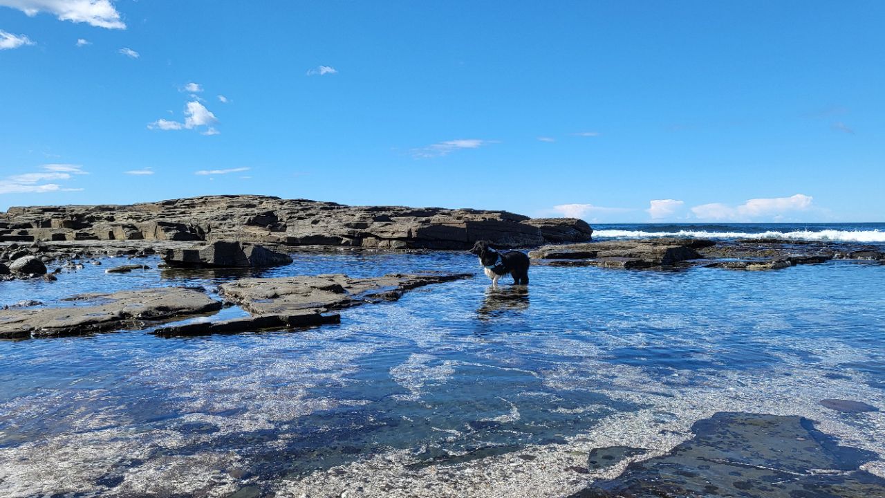 Image of Shelly Beach, Gerroa park in Gerroa, New South Wales, Australia Image of Shelly Beach, Gerroa park in gerroa, new-south-wales, australia