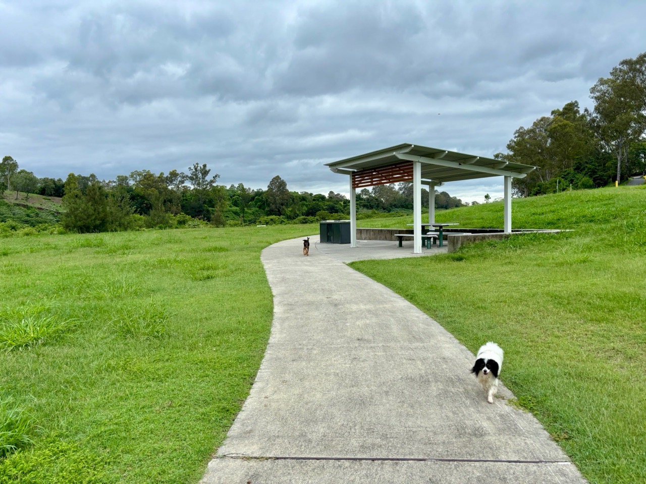 Image of Kookaburra Park park in Karana Downs, Queensland, Australia Image of Kookaburra Park park in karana-downs, queensland, australia