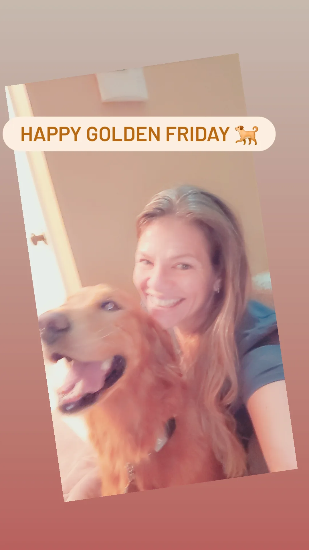 Image of Happy Paws and Purrs Pet Sitting service in West Palm Beach, Florida, United States Image of Happy Paws and Purrs Pet Sitting service in West Palm Beach, Florida, United States