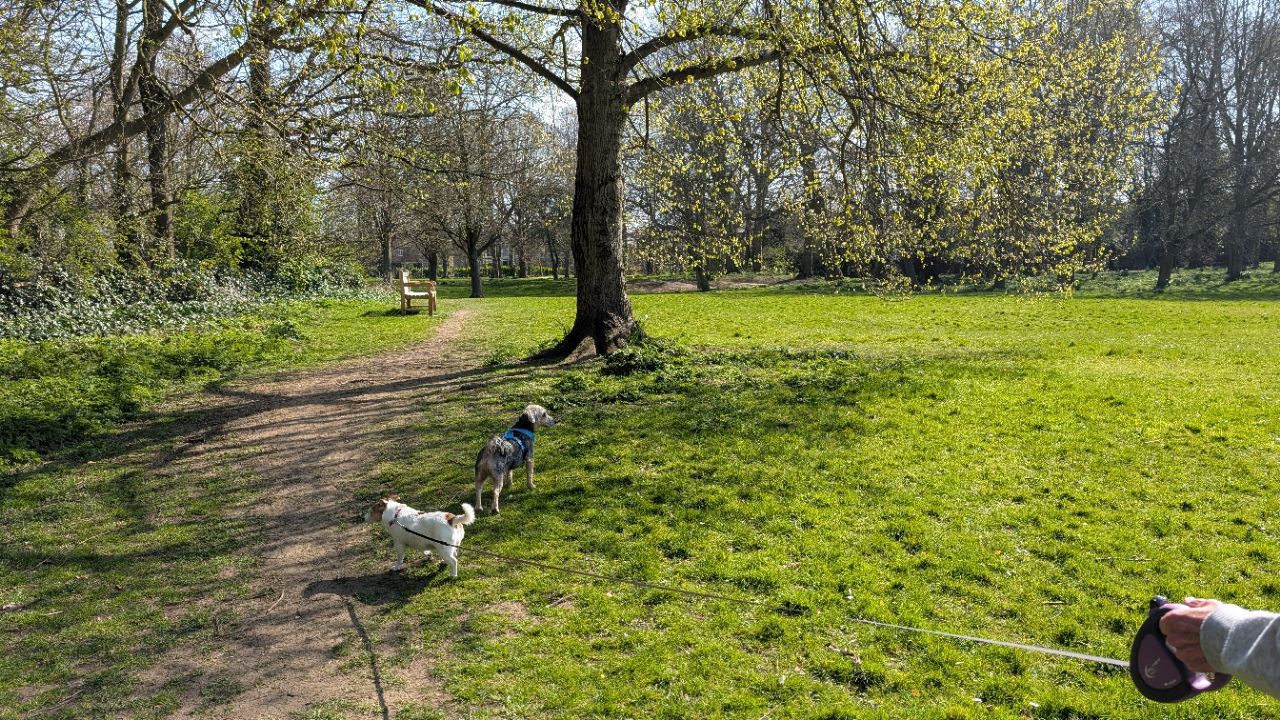 Image of Grove Park, Waltham park in Grimsby, England, United Kingdom Image of Grove Park, Waltham park in grimsby, england, united-kingdom