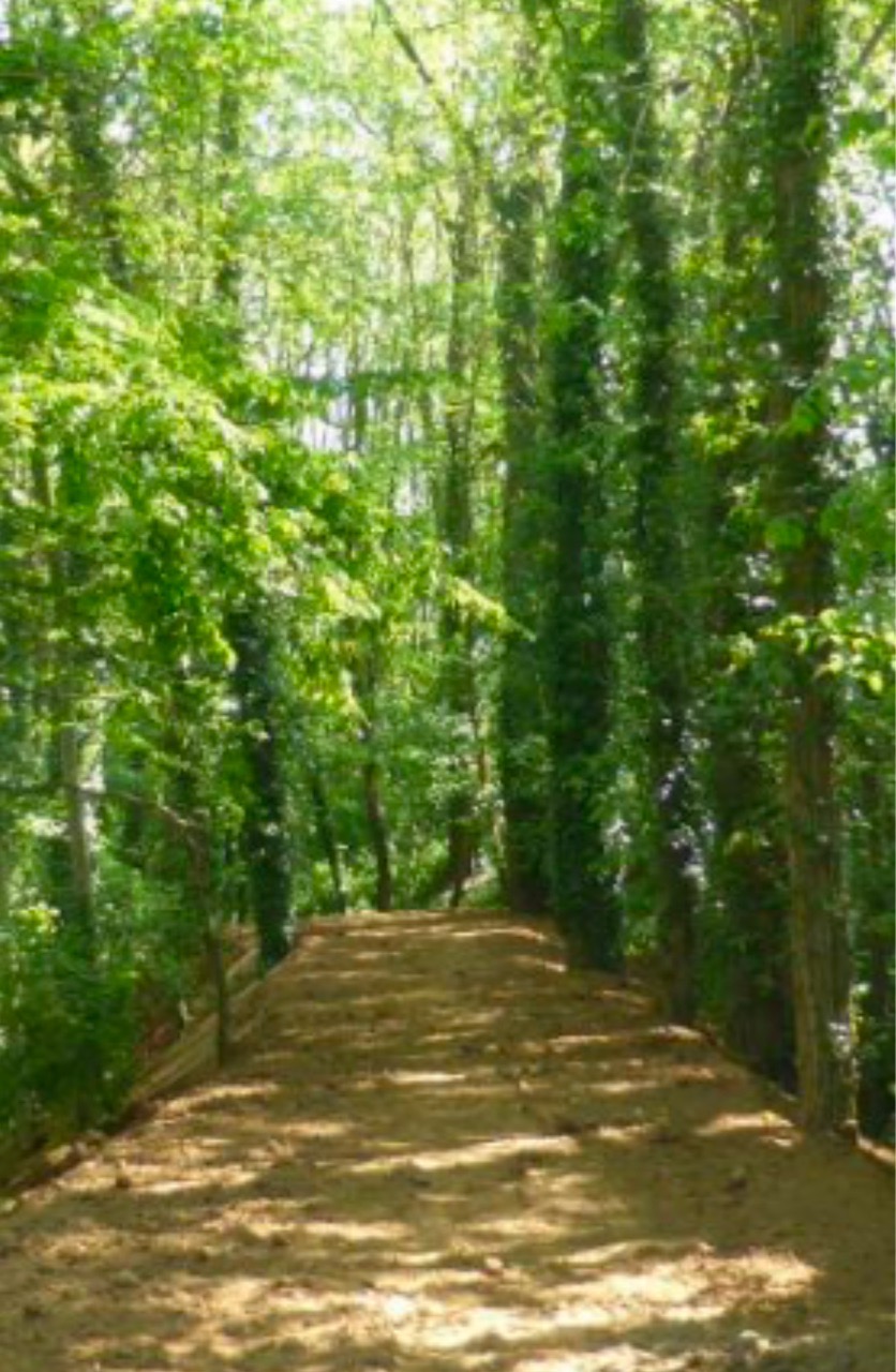 Image of Bois du Vivier park in Bolbec, Seine-Maritime, France Image of Bois du Vivier park in bolbec, seine-maritime, france