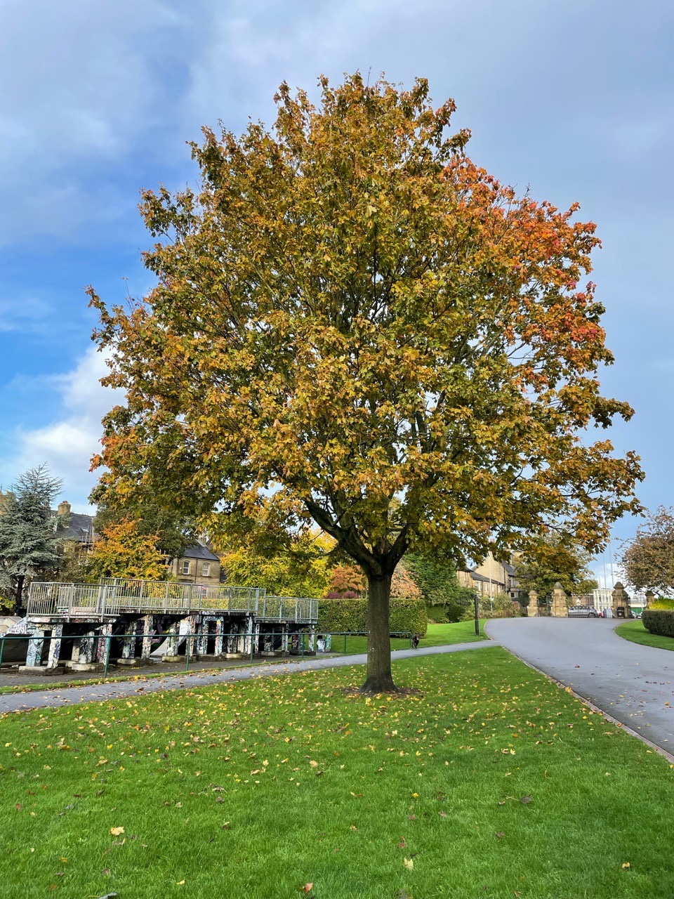 Image of Greenhead Park park in Kirklees, England, United Kingdom Image of Greenhead Park park in kirklees, england, united-kingdom