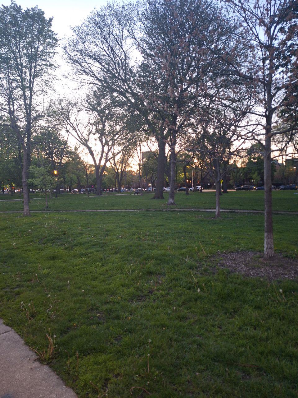 Image of Palmer Square Park park in Chicago, Illinois, United States Image of Palmer Square Park park in chicago, illinois, united-states