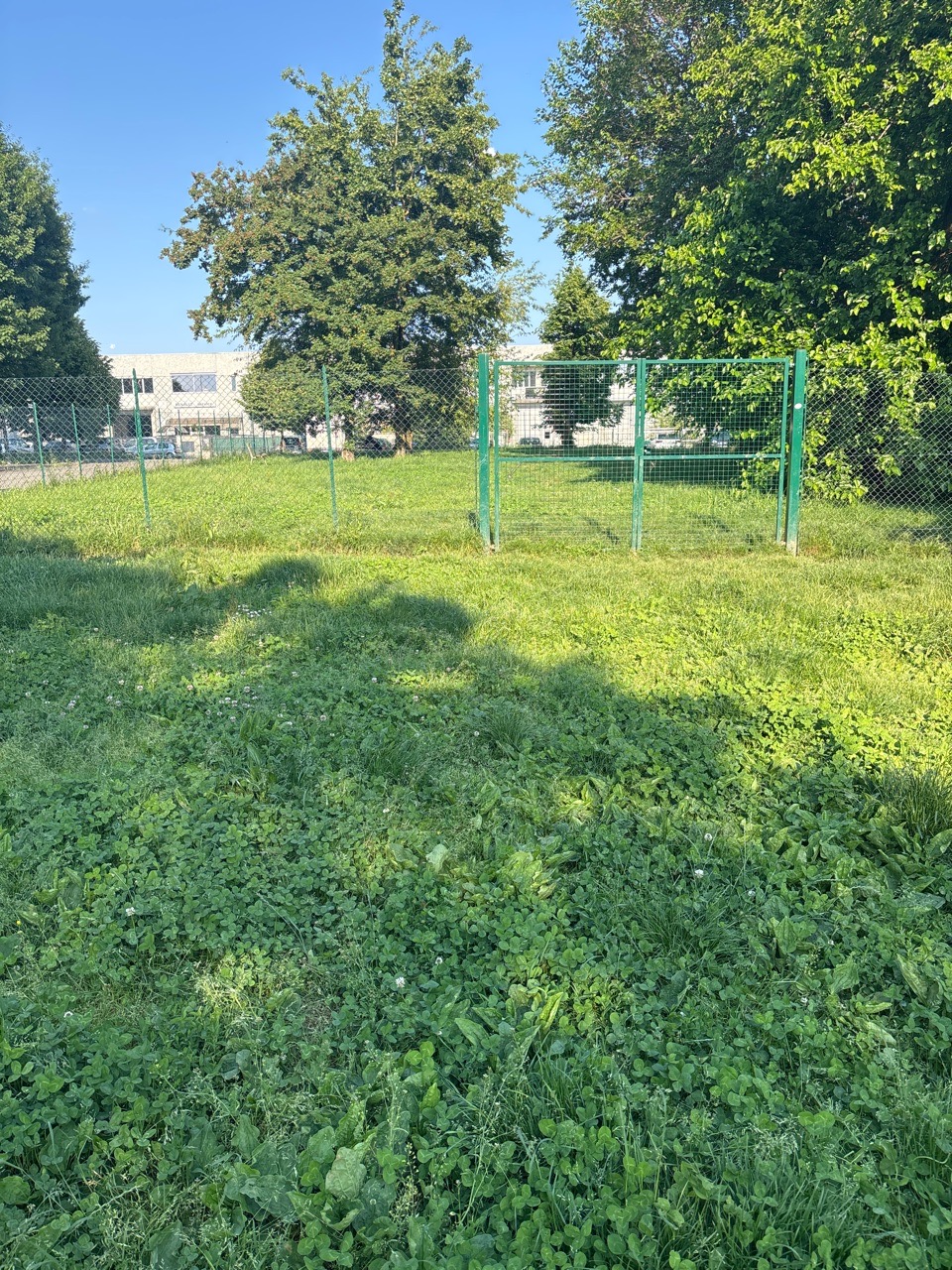 Image of Tevere park in Cesate, Lombardia, Italy Image of Tevere park in cesate, lombardia, italy