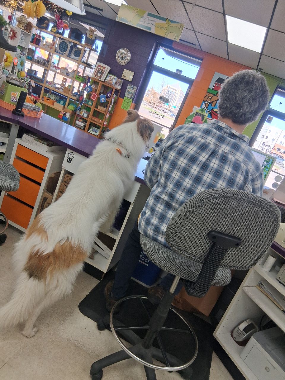 Image of Katzenbarkers Natural Pet Food & Supplies (Wausau) service in Wausau, Wisconsin, United States Image of Katzenbarkers Natural Pet Food & Supplies (Wausau) service in Wausau, Wisconsin, United States