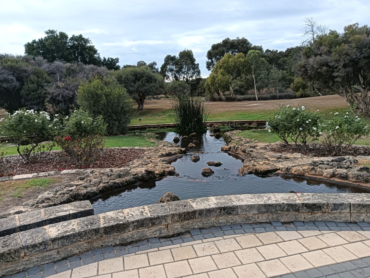 Image of Stirling Civic Gardens park in Stirling, South Australia, Australia Image of Stirling Civic Gardens park in stirling, south-australia, australia