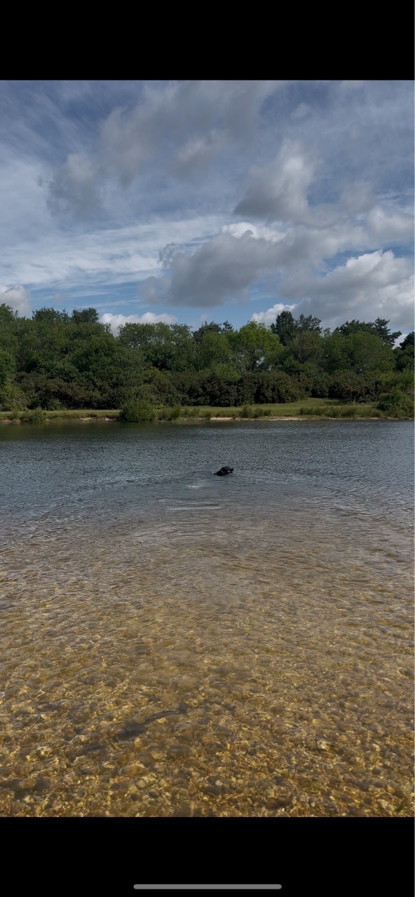 Image of Greenham Common - Dog Pond park in Thatcham, England, United Kingdom Image of Greenham Common - Dog Pond park in thatcham, england, united-kingdom
