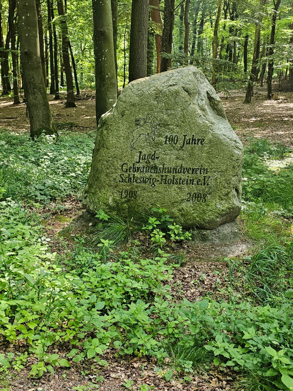 Image of Hüsbygaard Wald park in Schuby, Schleswig-Holstein, Germany Image of Hüsbygaard Wald park in schuby, schleswig-holstein, germany