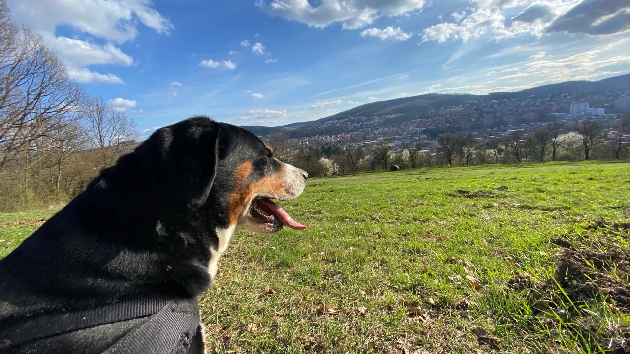Image of Psí louka park in Zlín, Zlín Region, Czechia Image of Psí louka park in zlin, zlin-region, czechia