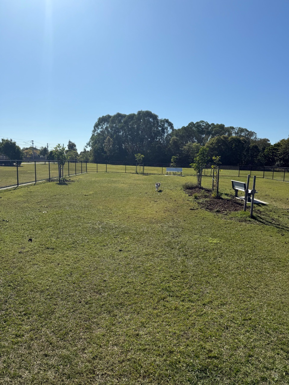 Image of Mango Hill Train Station Dog Park park in Mango Hill, Queensland, Australia Image of Mango Hill Train Station Dog Park park in mango-hill, queensland, australia