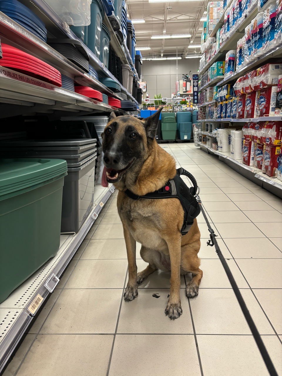 Canadian Tire St. Jacques ,Montreal, QC DogPack