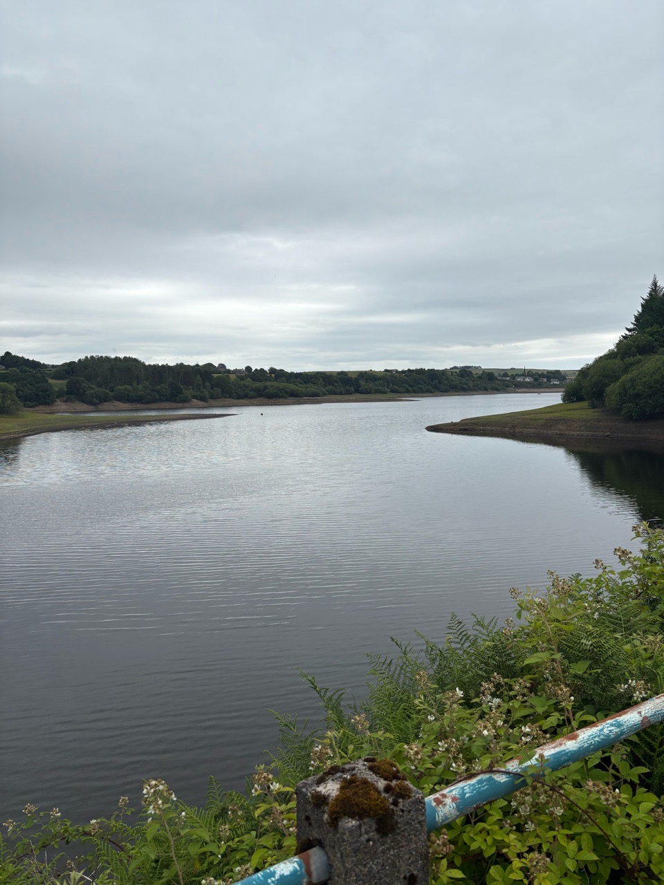 Image of Entwistle Reservoir park in Chapeltown, England, United Kingdom Image of Entwistle Reservoir park in chapeltown, england, united-kingdom