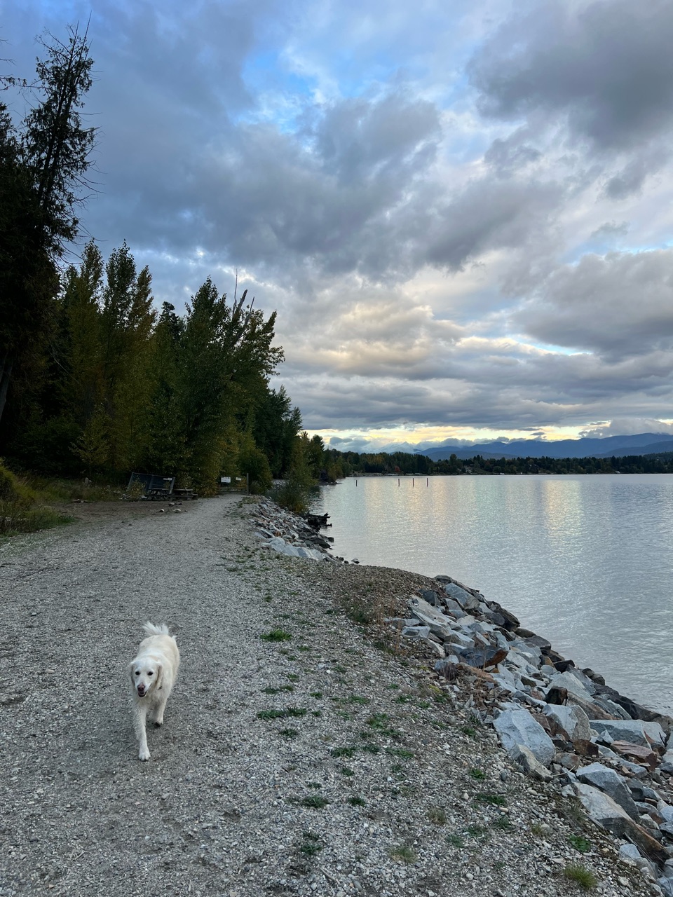Image of Pend d'OReille Bay Trail park in Sandpoint, Idaho, United States Image of Pend d'OReille Bay Trail park in sandpoint, idaho, united-states