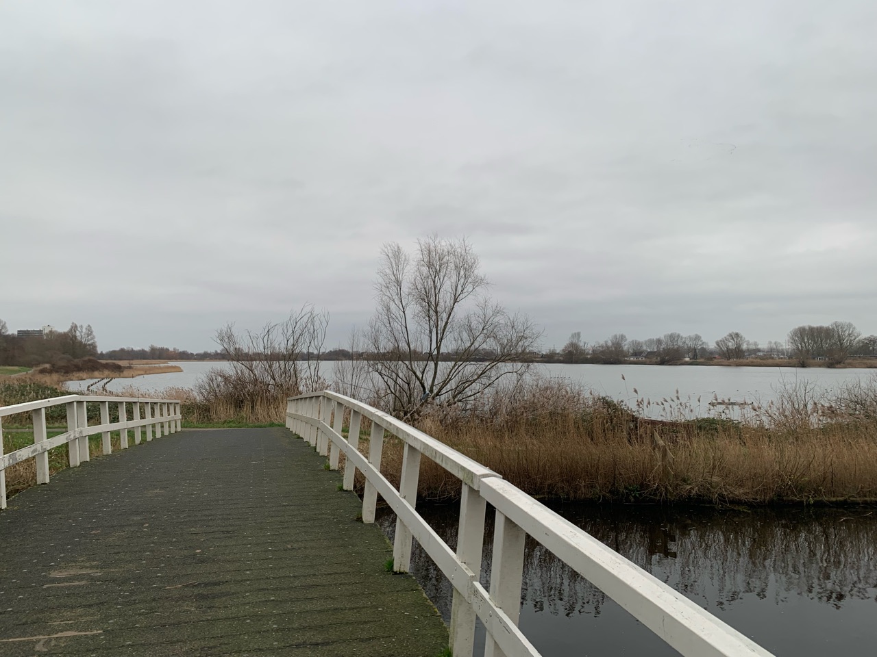 Image of Meerwijkplas park in Vijfhuizen, North Holland, Netherlands Image of Meerwijkplas park in vijfhuizen, north-holland, netherlands
