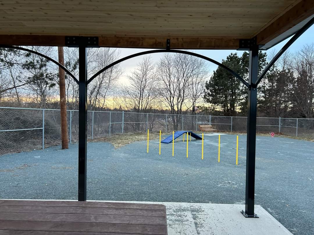 Image of Don Bayer Dog Park park in Dartmouth, Nova Scotia, Canada Image of Don Bayer Dog Park park in dartmouth, nova-scotia, canada