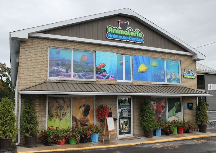 Image of Chico - Boutique d'animaux | Joliette service in Notre-Dame-des-Prairies, Quebec, Canada Image of Chico - Boutique d'animaux | Joliette service in Notre-Dame-des-Prairies, Quebec, Canada