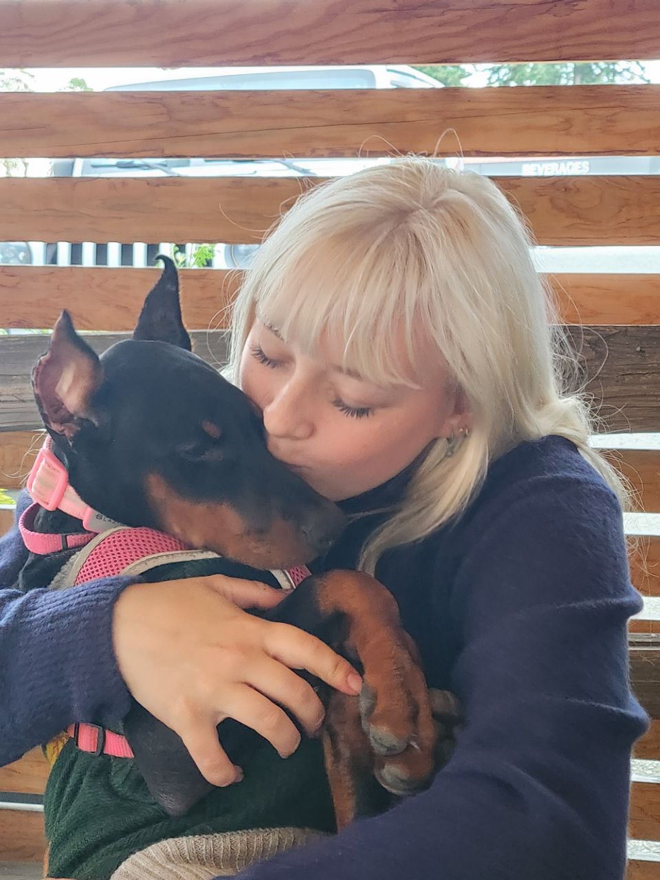 Image of Doggy vacation pet sitting service in Clinton, Iowa, United States Image of Doggy vacation pet sitting service in Clinton, Iowa, United States