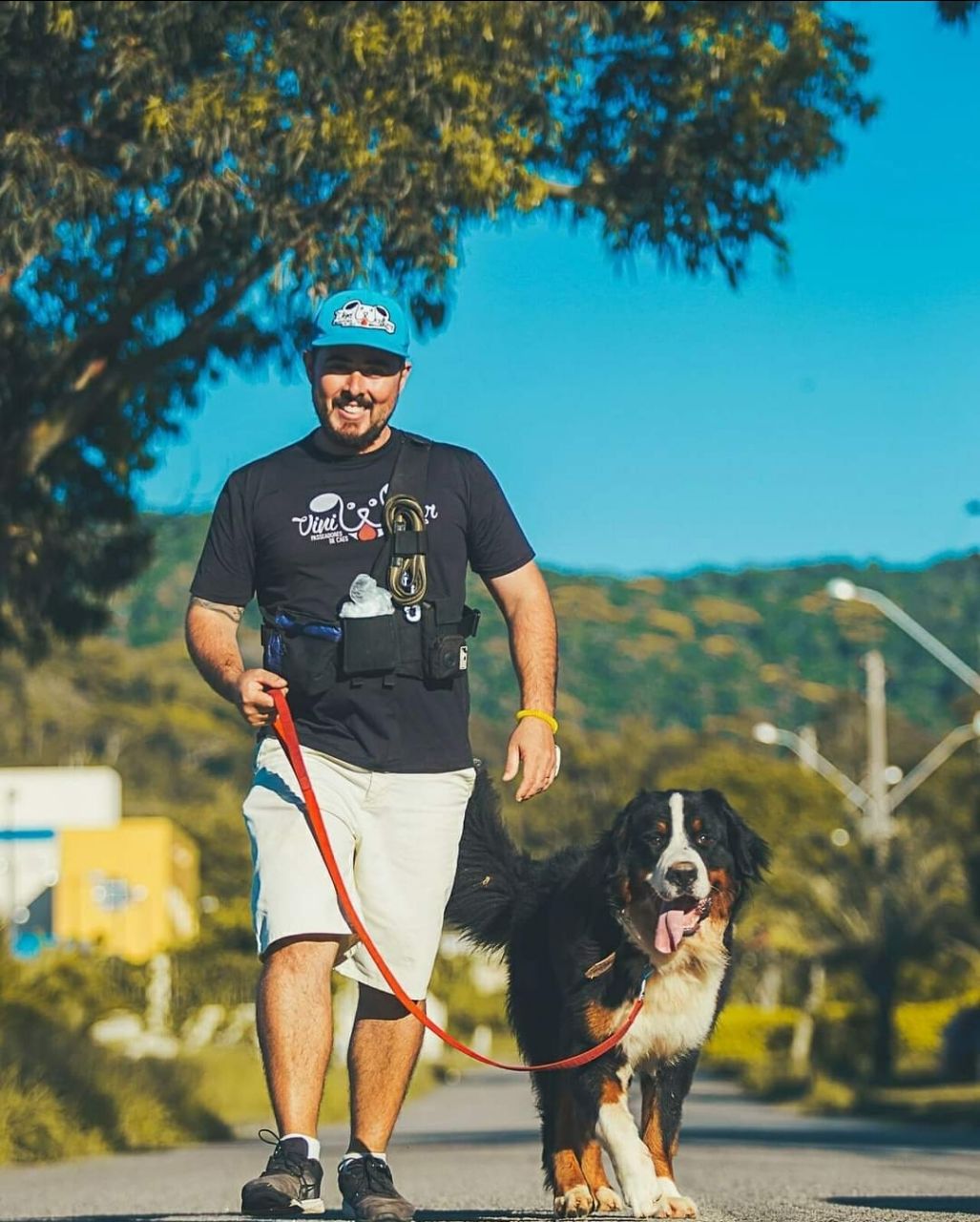 Image of Vini Walker Passeadores De Cães & Hotel Pet service in Florianópolis, Santa Catarina, Brazil Image of Vini Walker Passeadores De Cães & Hotel Pet service in Florianópolis, Santa Catarina, Brazil