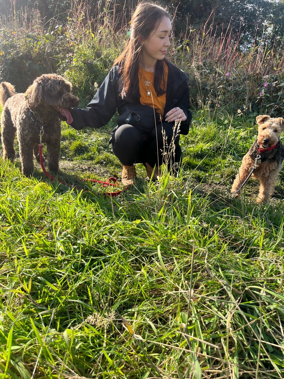 Image of Furever Friends service in Kirklees, England, United Kingdom Image of Furever Friends service in Kirklees, England, United Kingdom